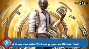 اشحن الآن 30000 شدة ببجي مع هدية 11400 مجانية لتعزيز حسابك فوراً